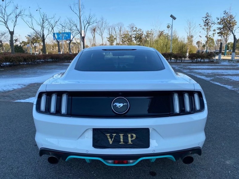 盐城15年福特野马5