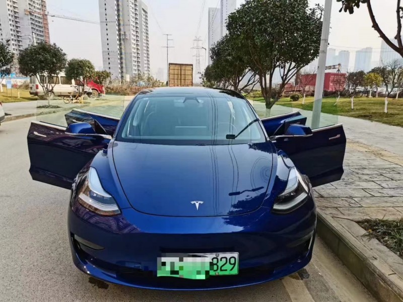 贛州19年特斯拉特斯拉Model S1