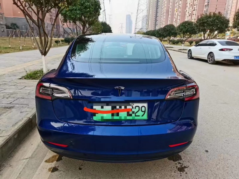 贛州19年特斯拉特斯拉Model S8