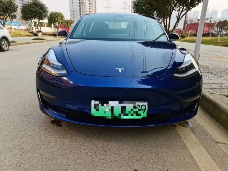 贛州19年特斯拉特斯拉Model S9