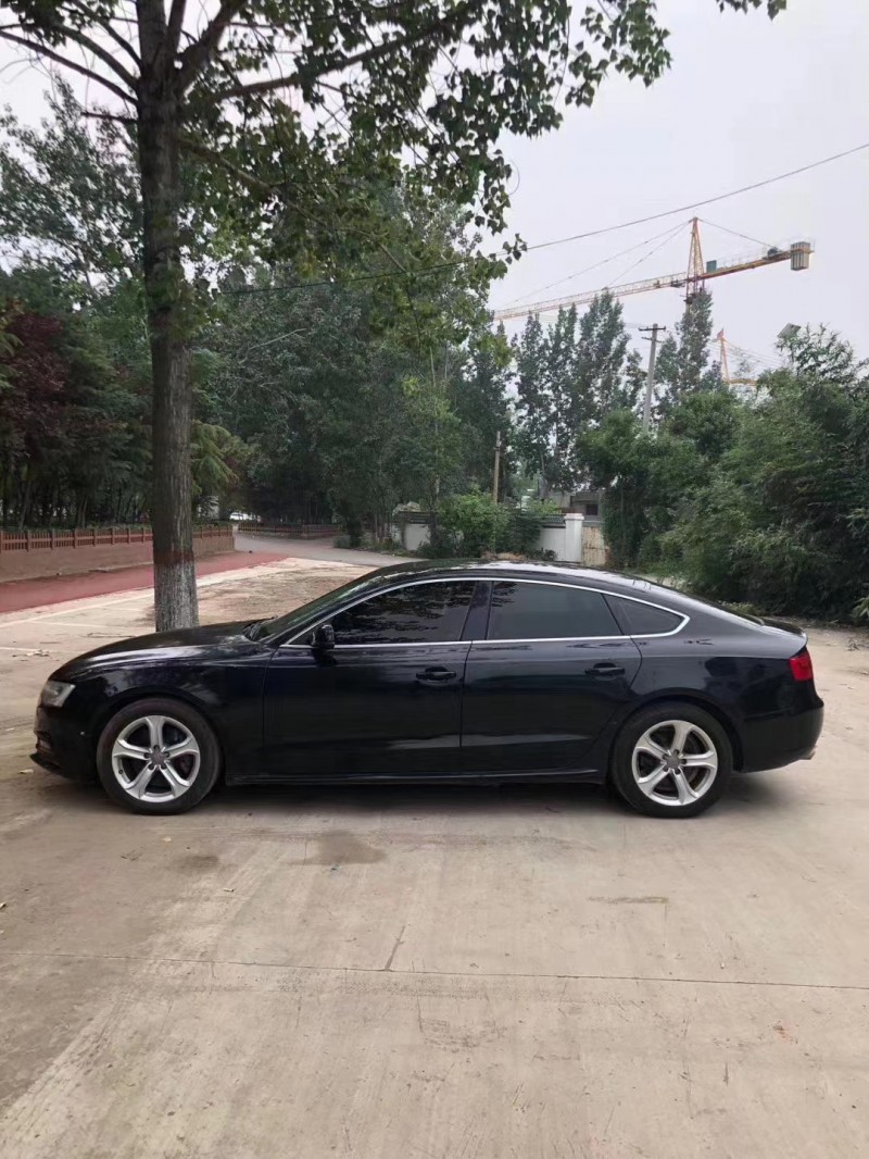 枣庄13年奥迪A59