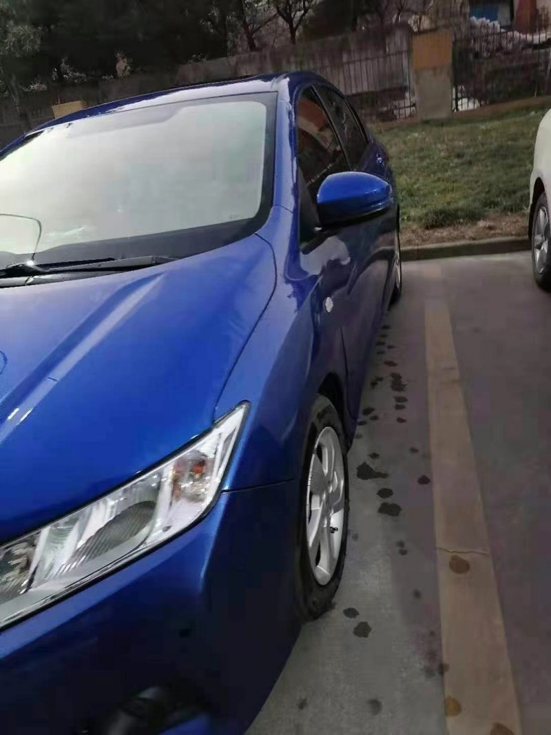 枣庄16年本田锋范2