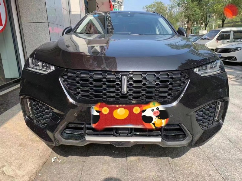 株洲18年長城VV71