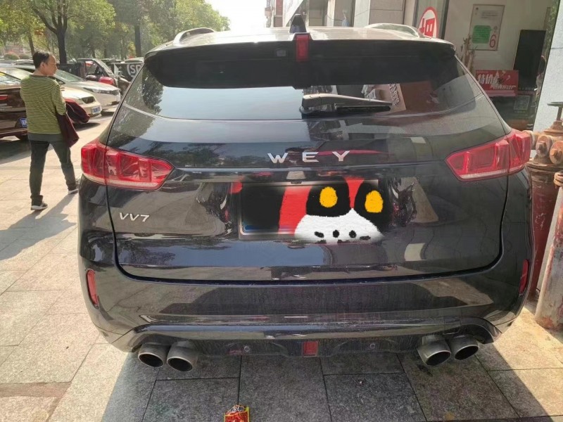 株洲18年長城VV77