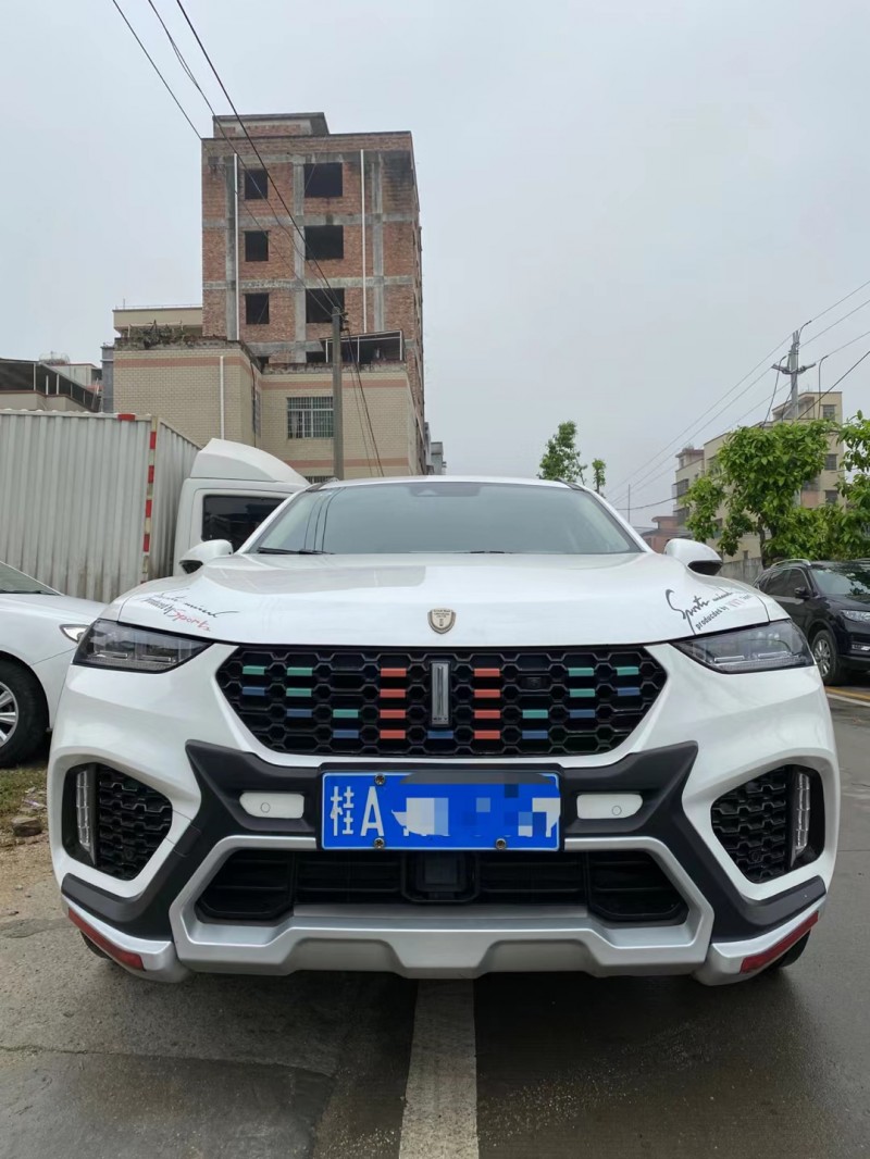 广州18年WEYVV71