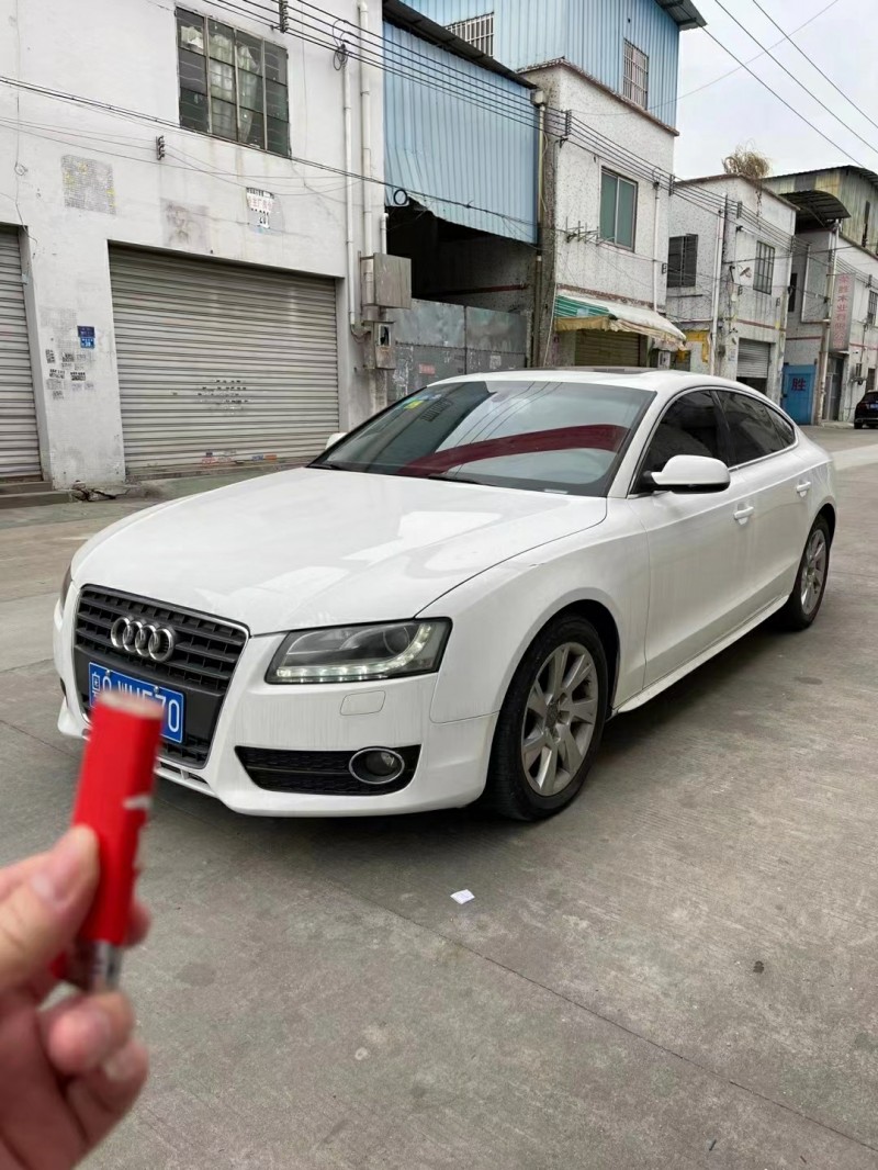 广州10年奥迪A52
