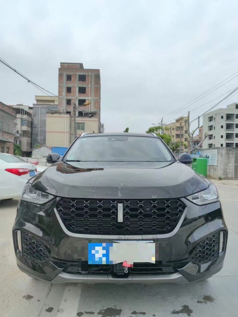 广州19年长城VV61