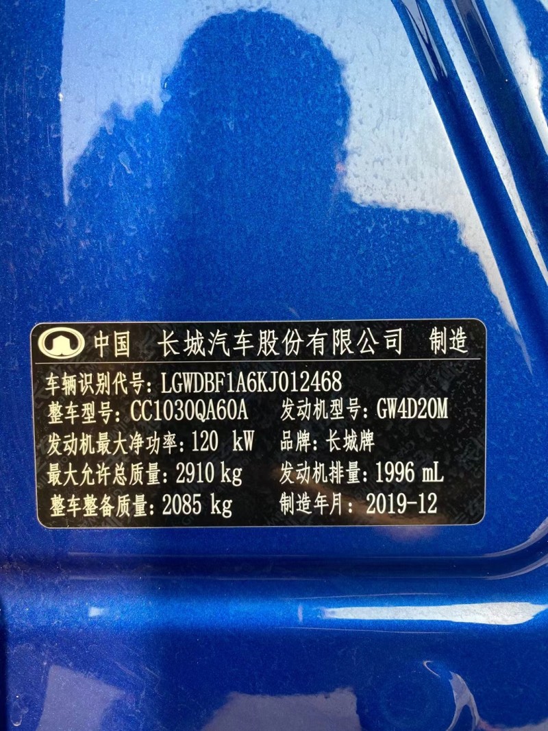臨沂20年長城炮 皮卡8