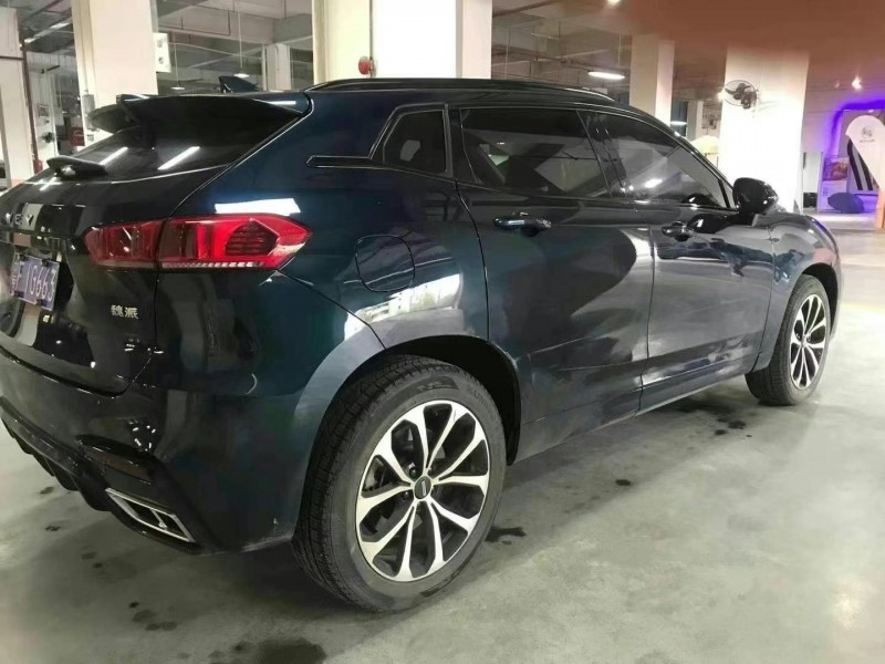 廣州20年長城VV74