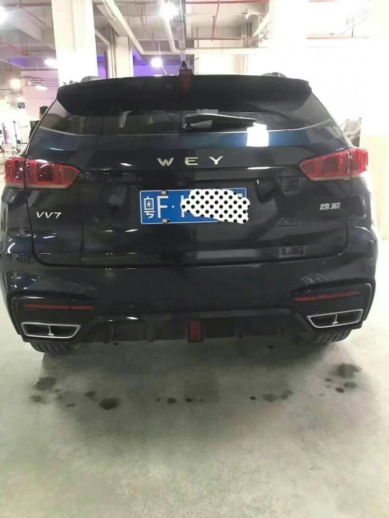 廣州20年長城VV77