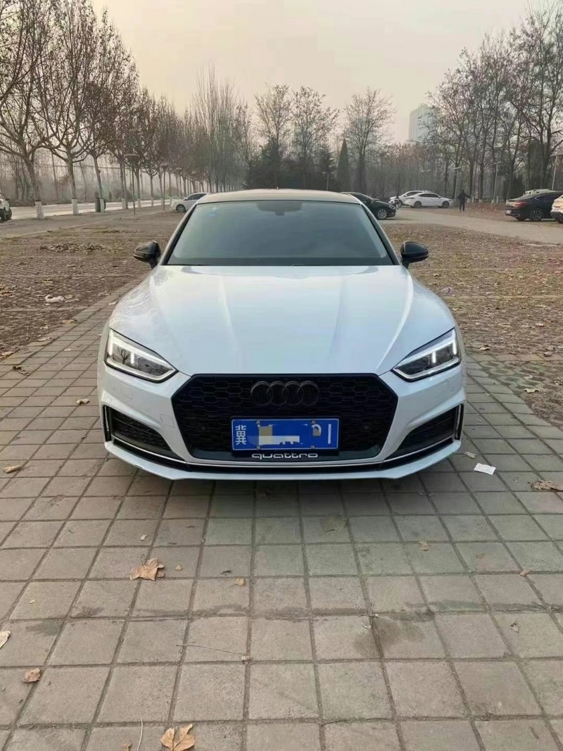 德州17年奧迪A51