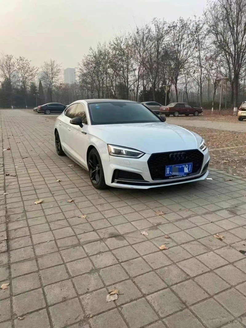 德州17年奧迪A54