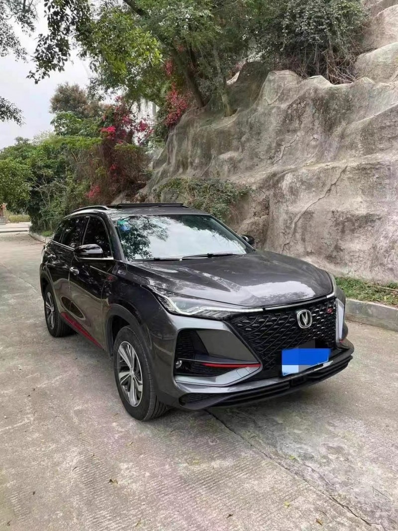 廈門20年長安汽車CS752