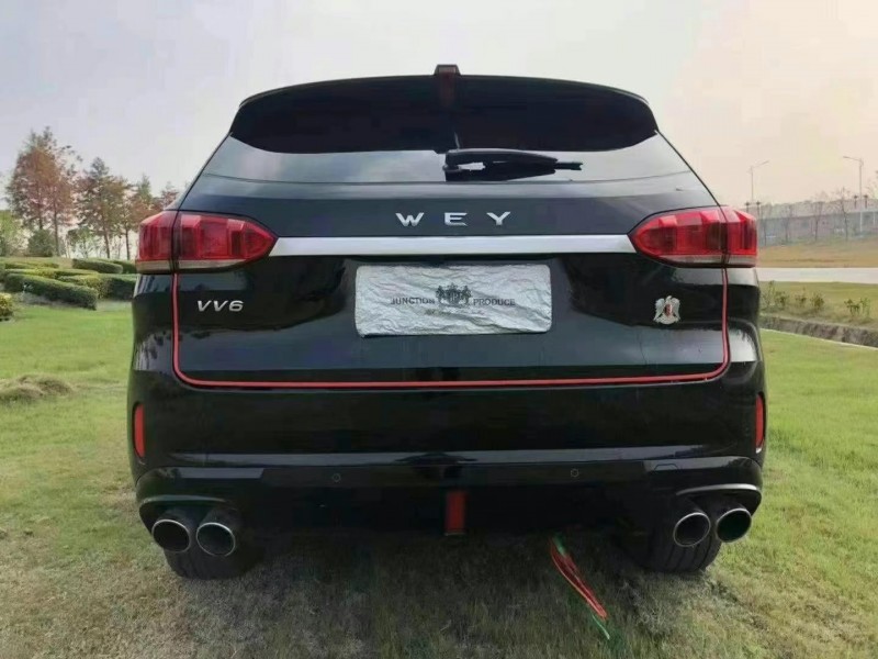 東營19年長城VV69