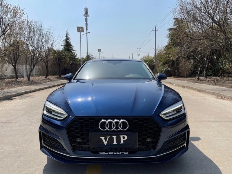 盐城19年奥迪A51