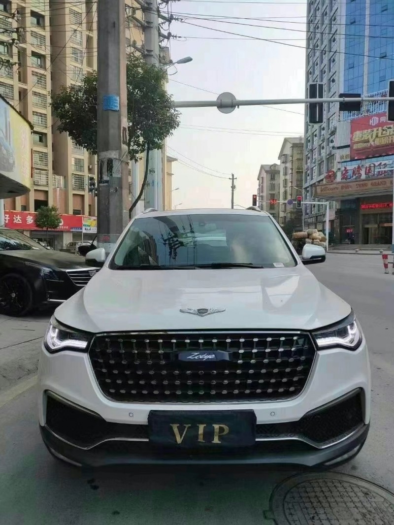 益阳19年众泰T8001