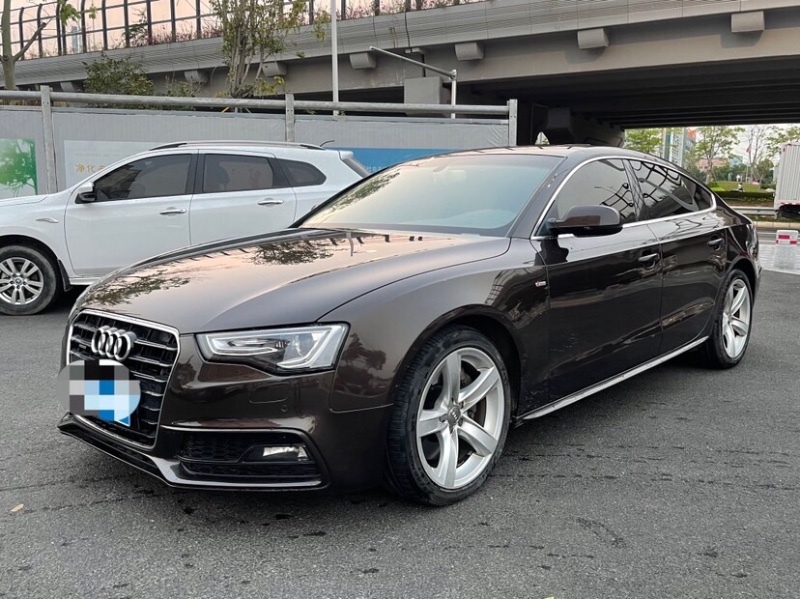 东莞13年奥迪S56