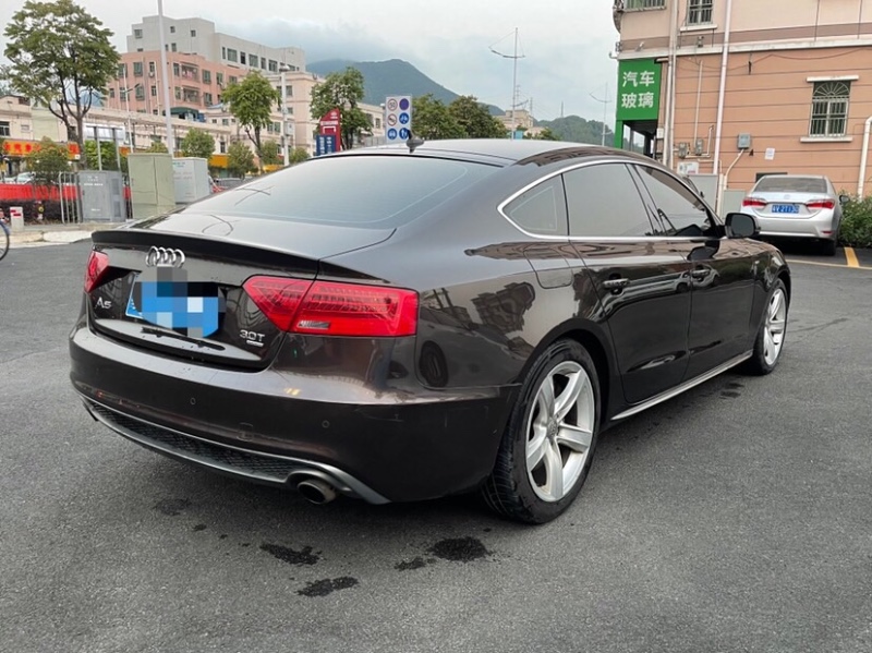 东莞13年奥迪S51