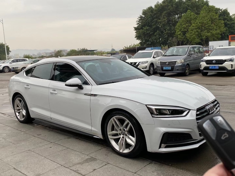 广州17年奥迪A51