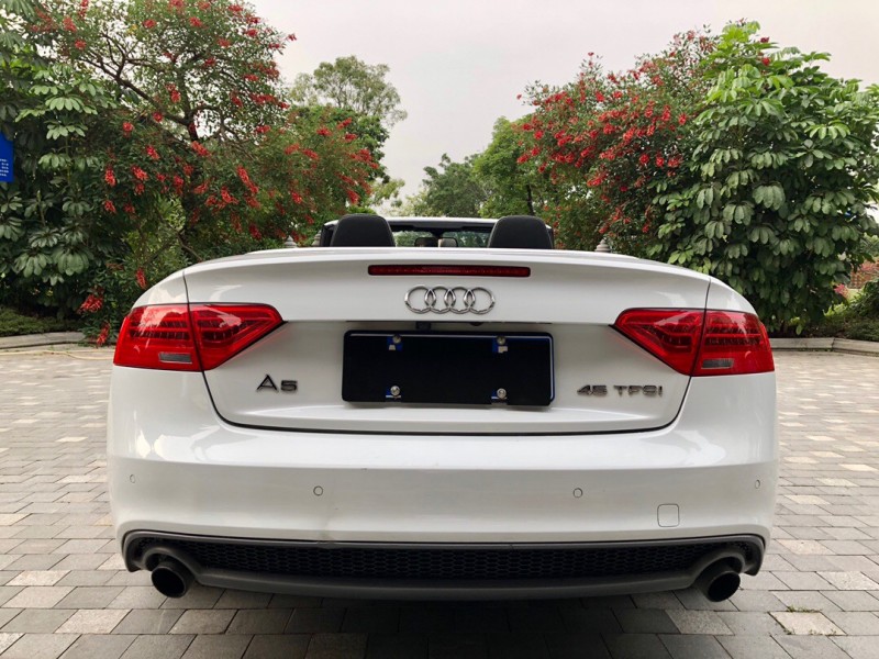 广州16年奥迪A55