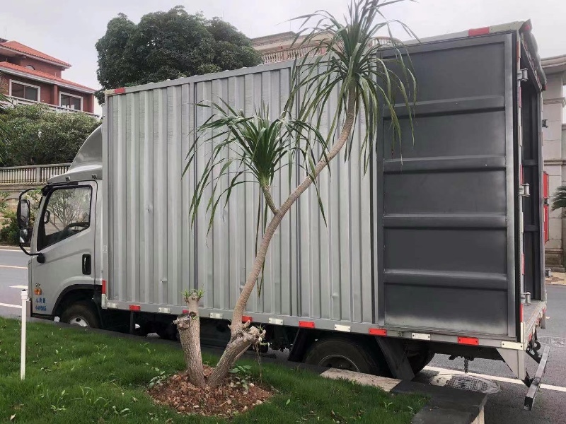 佛山20年解放解放T802