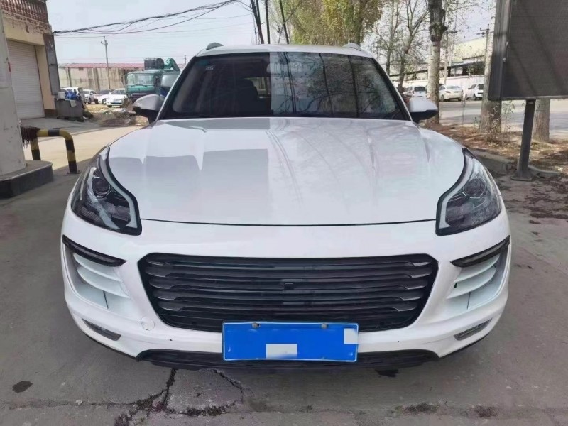 保定17年众泰SR99