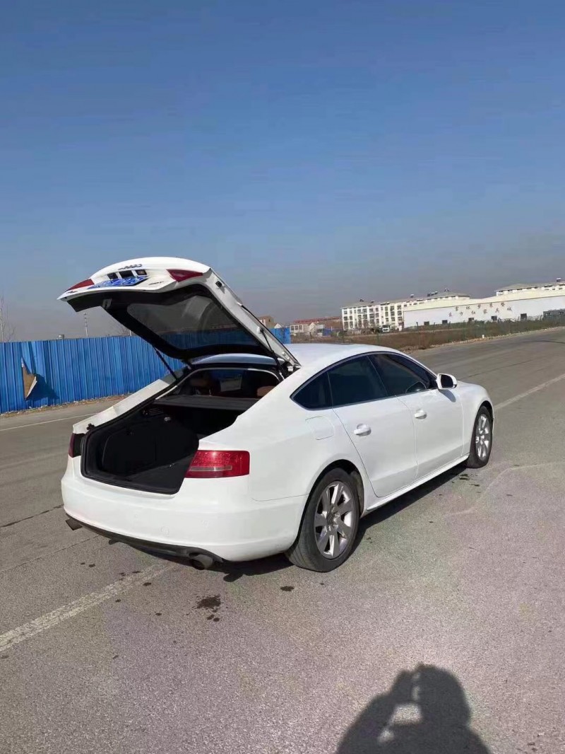 徐州12年奥迪A55