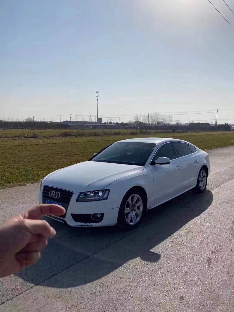 徐州12年奥迪A53