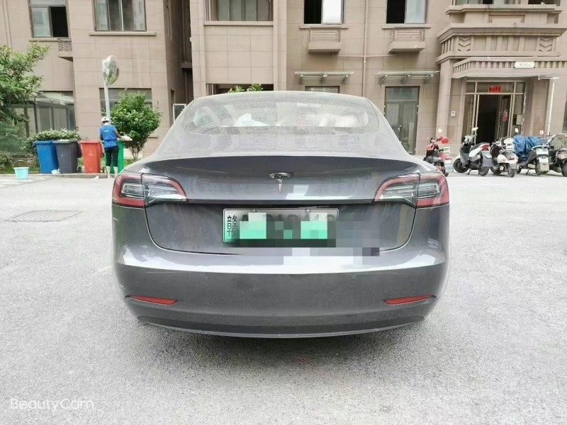 黃山20年特斯拉MODEL 39