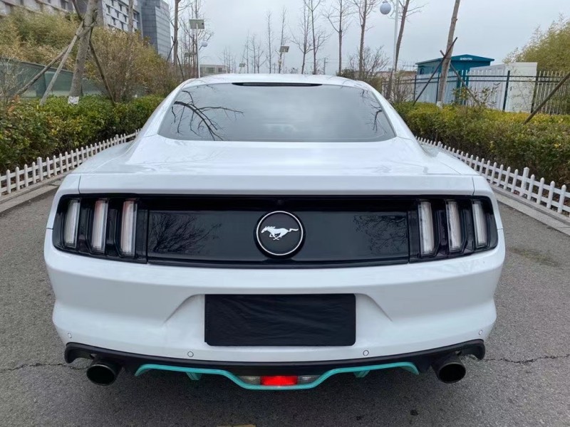 盐城15年福特野马9