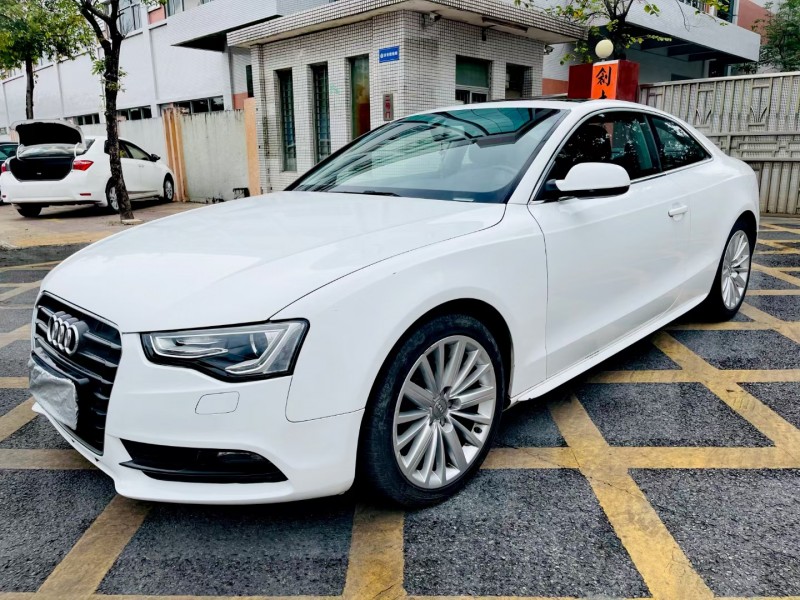 东莞15年奥迪A57