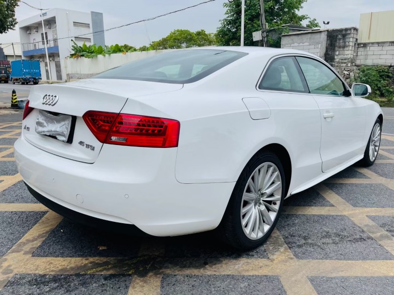 东莞15年奥迪A51