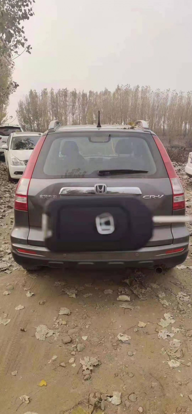 長春11年本田CR-V6