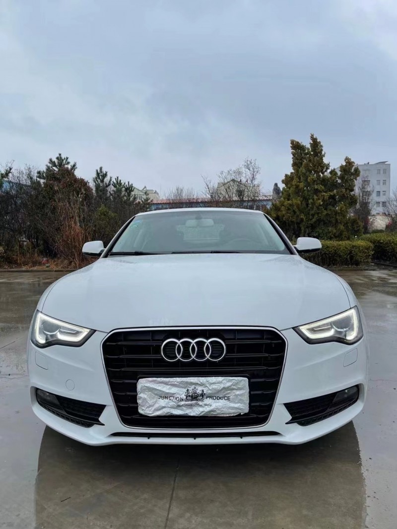 徐州17年奥迪A51