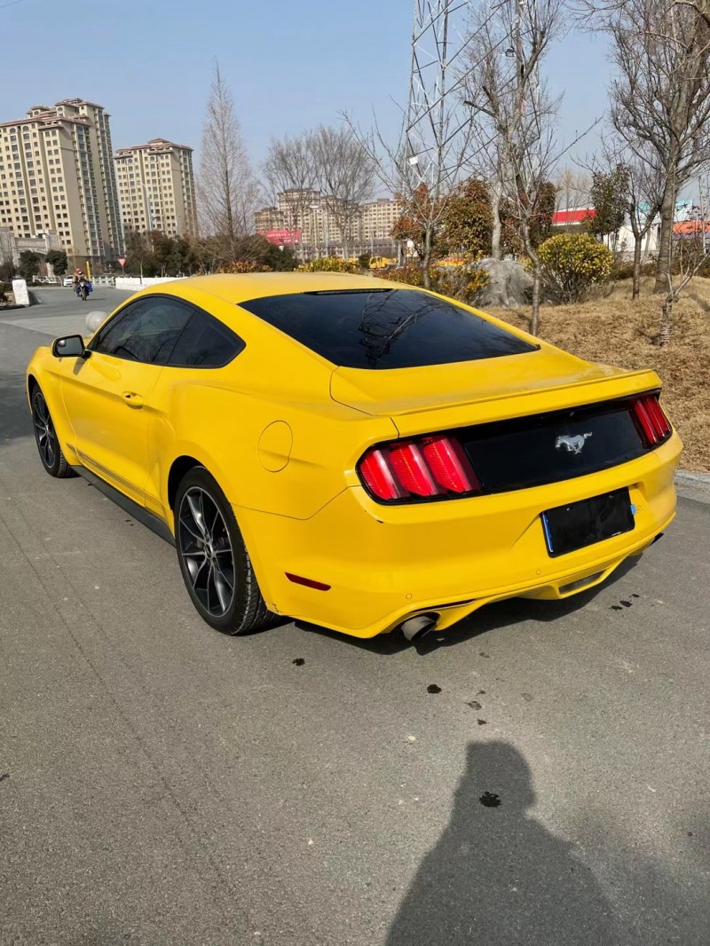 徐州15年福特野马5