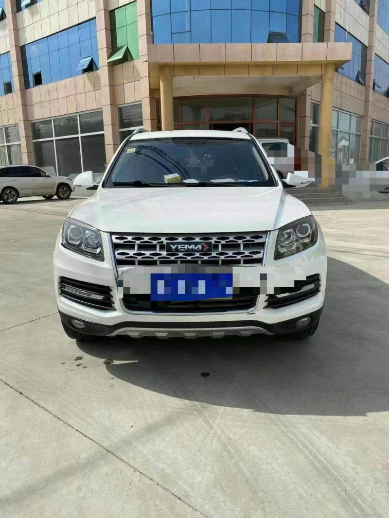 臨沂16年野馬汽車T701