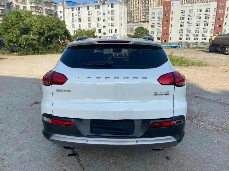 岳陽17年獵豹汽車CS107