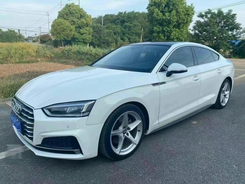 济宁19年奥迪A53