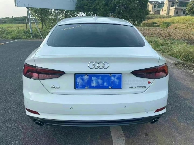 泰安19年奧迪A59