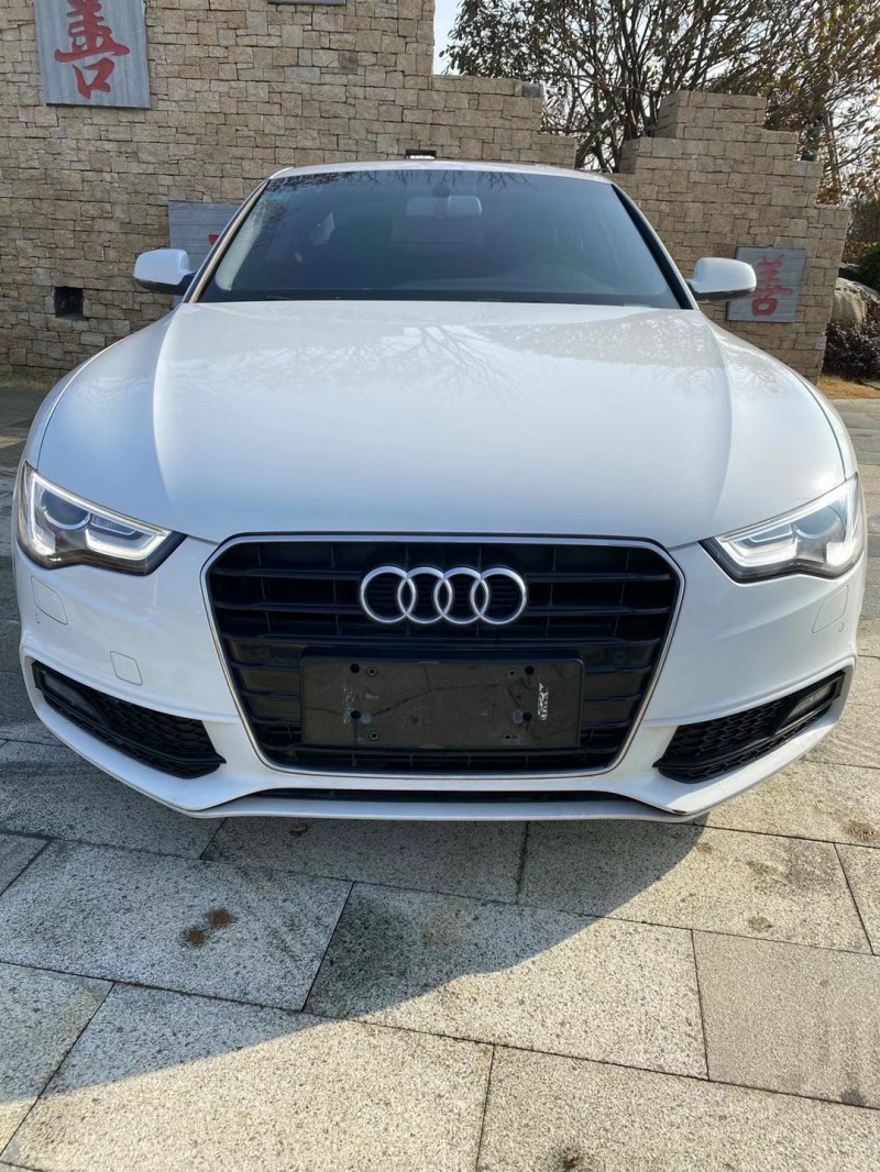 枣庄16年奥迪A59