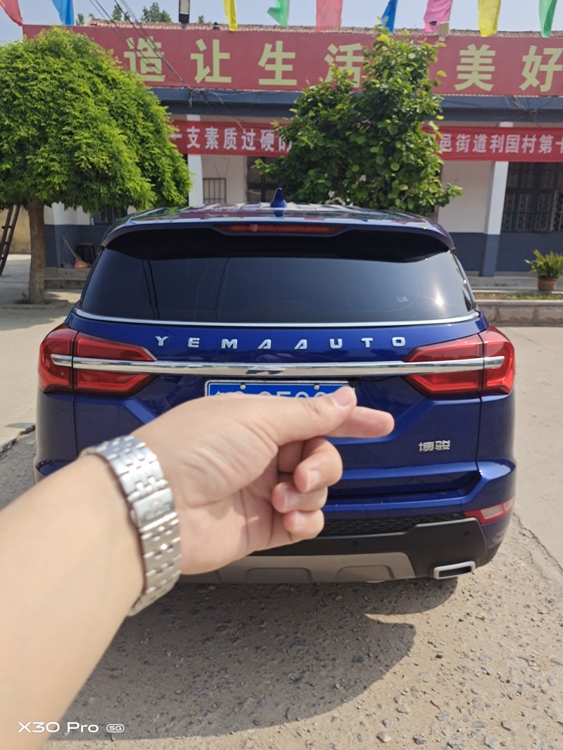 臨沂20年野馬汽車T系2