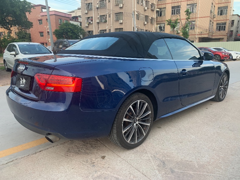 广州13年奥迪A51