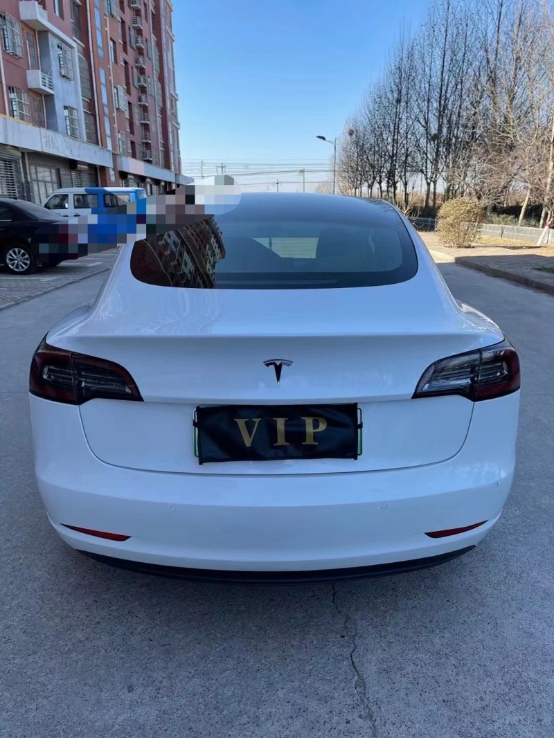 邢臺19年特斯拉MODEL 31