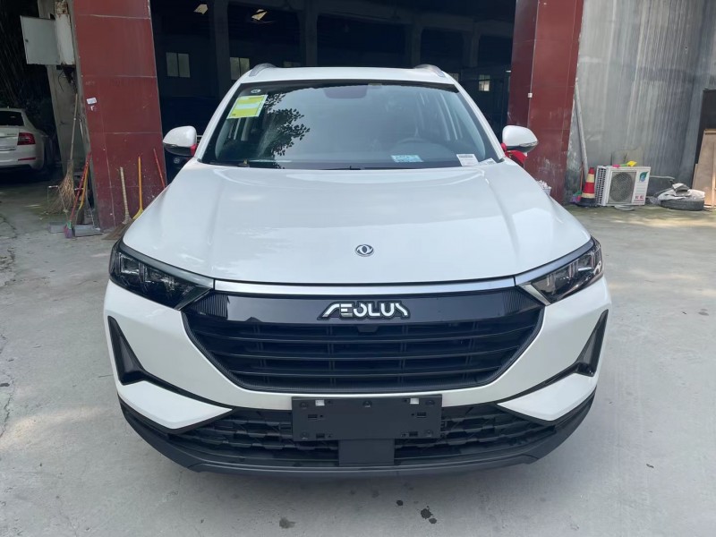 成都21年东风风度1