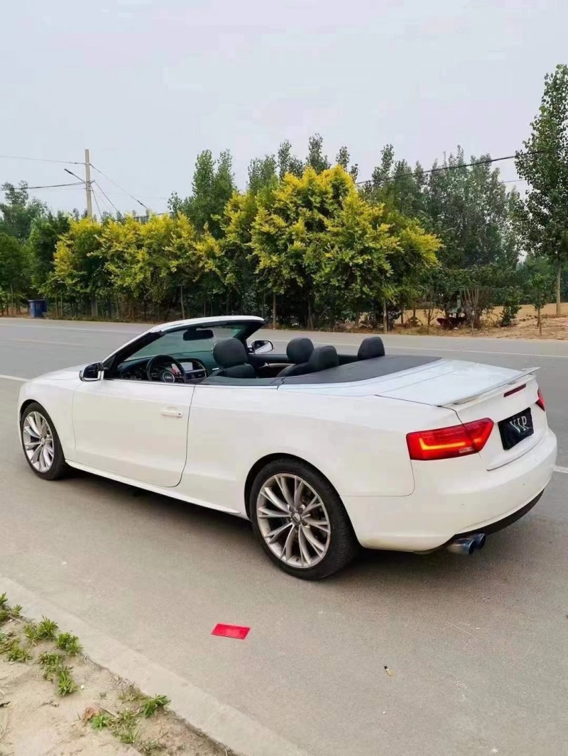 潍坊14年奥迪A55