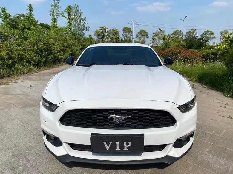 盐城15年福特野马1