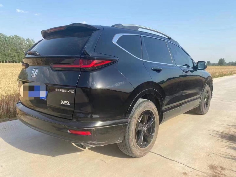 巢湖20年本田皓影7