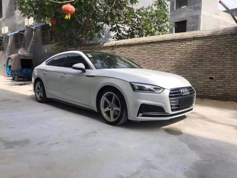 宜昌19年奧迪A52