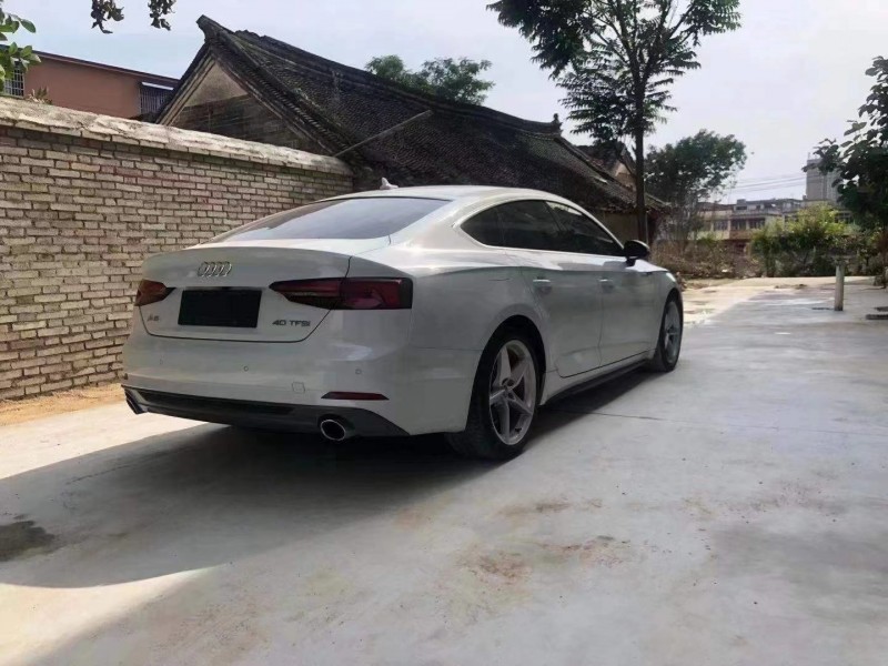 宜昌19年奧迪A55