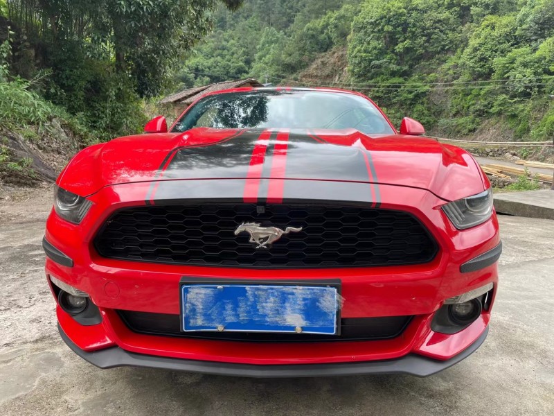 广州18年福特野马1